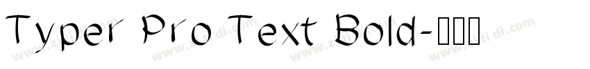 Typer Pro Text Bold字体转换